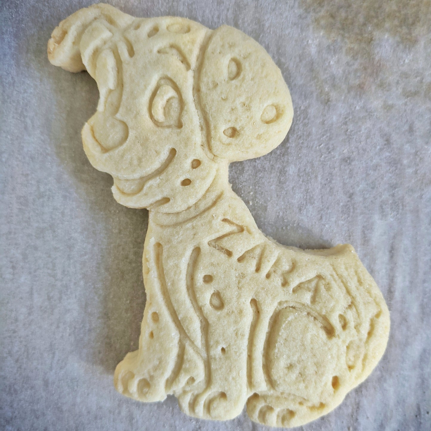 Dalmatian