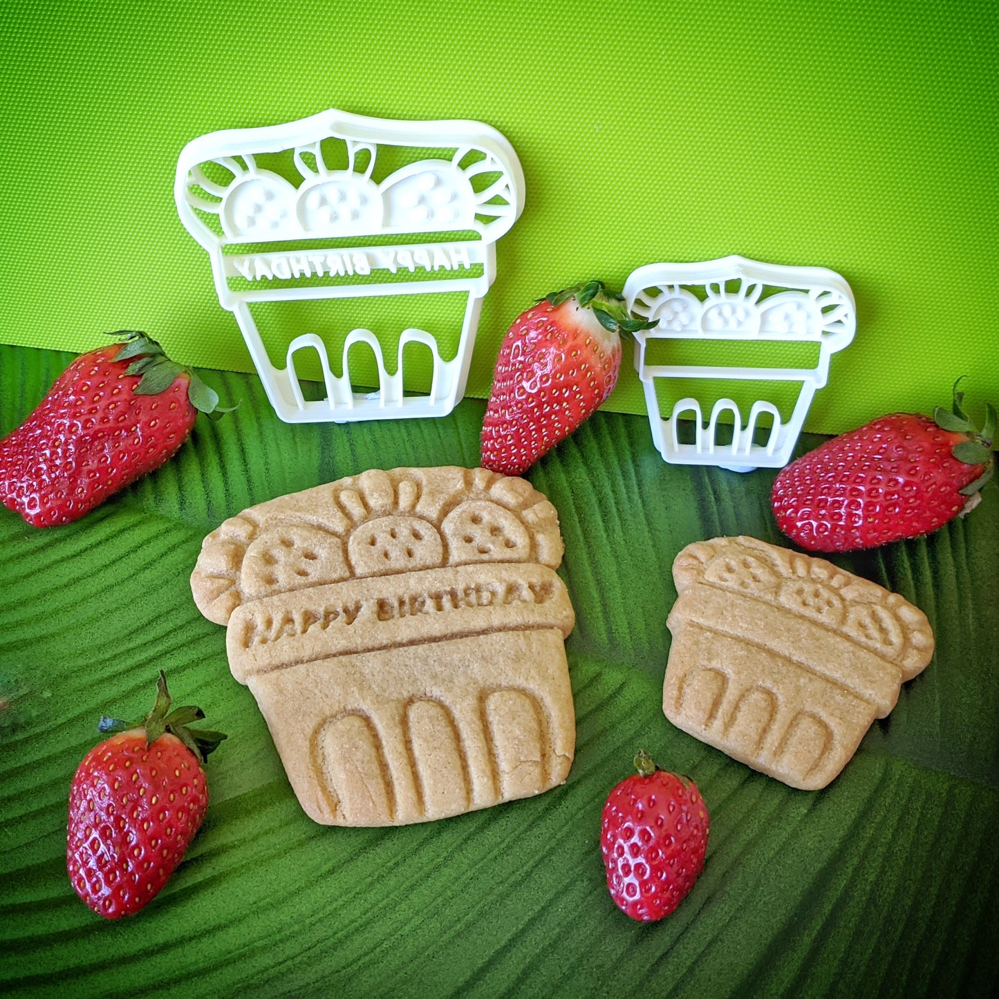 Strawberry Basket