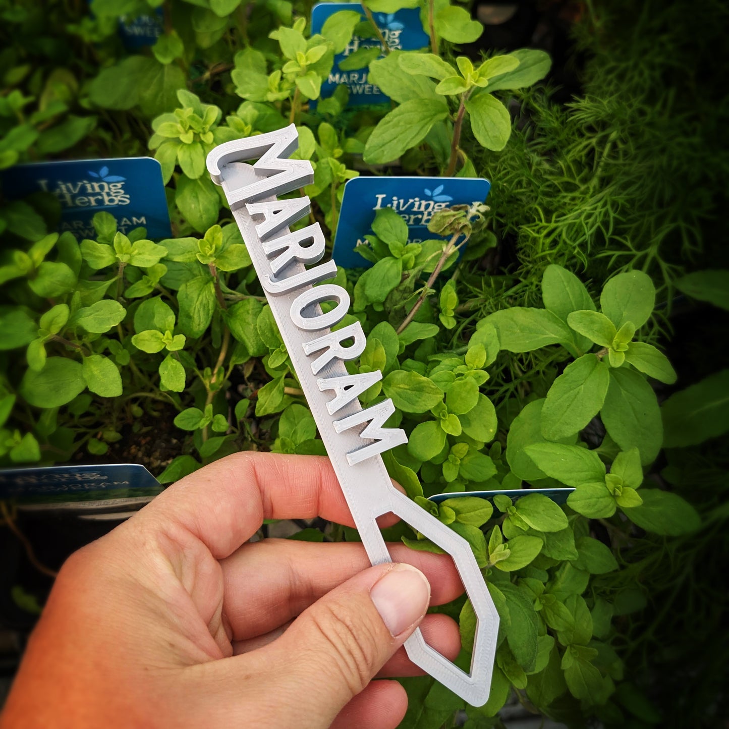 Custom Plant Tags/Flags