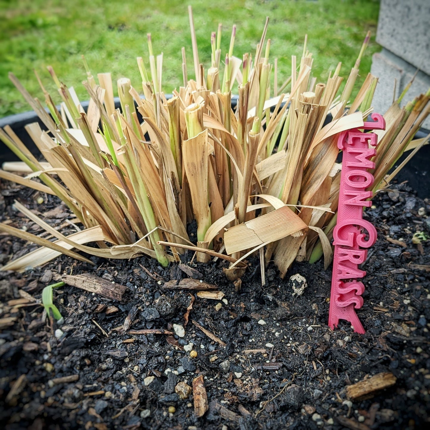 Custom Plant Tags/Flags