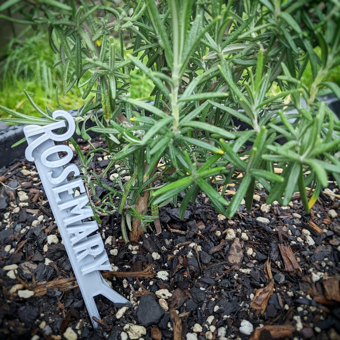 Custom Plant Tags/Flags